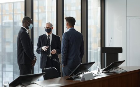 What is C Suit roles