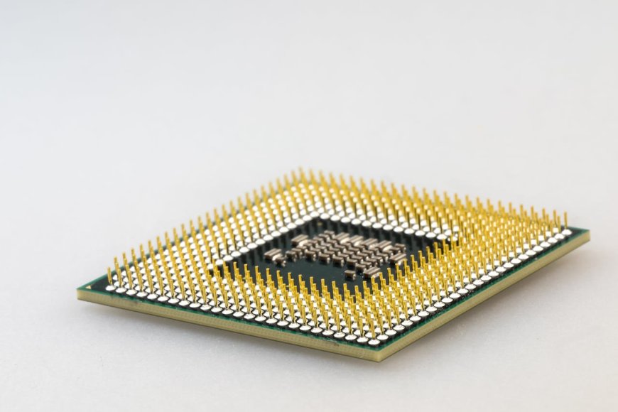 Central Processing Unit (CPU)