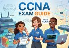 Guide to Network Components: Roles, Functions, and How They Connect